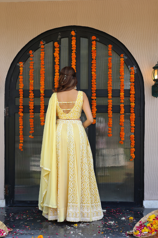 Sasha Lehenga Set